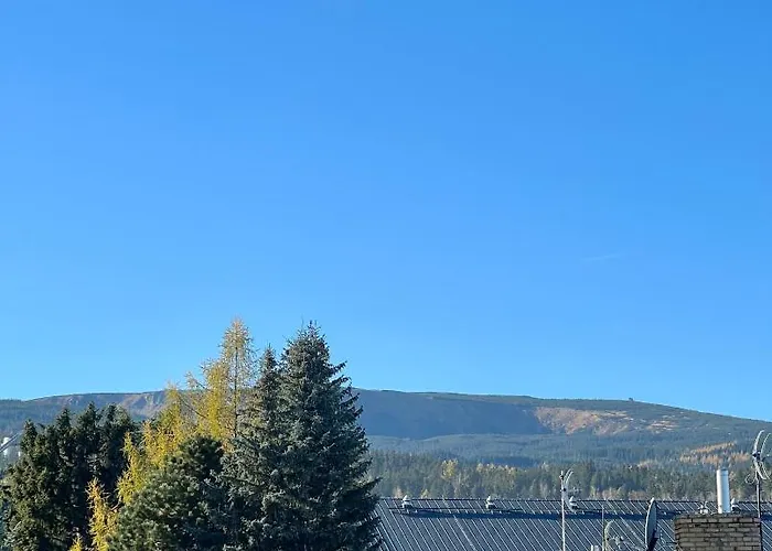 Проживание в семье Azalia