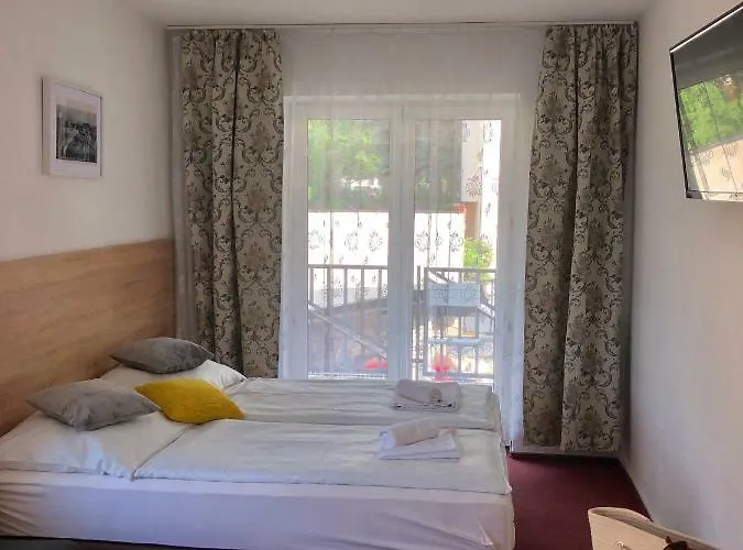 Azalia * Карпач